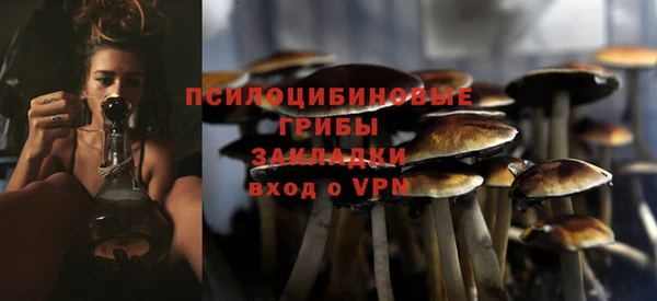 стафф Нефтегорск