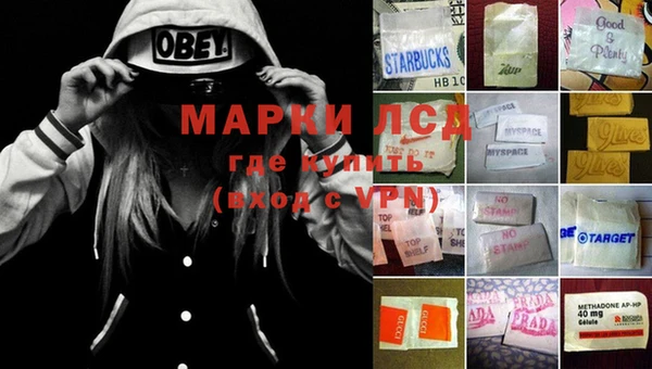 стафф Нефтегорск